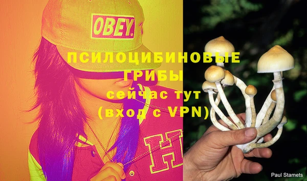 метадон Вяземский