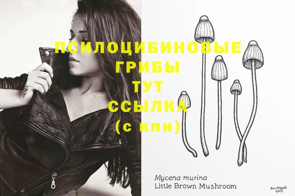 экстази Осинники
