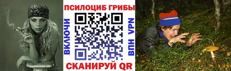 Галлюциногенные грибы Psilocybe  Александровск-Сахалинский 
